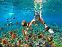 Snorkeling Blue Lagoon and tanjung jepun karangasem