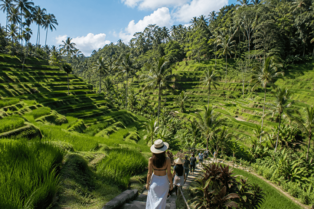 Ubud Rice Terrace