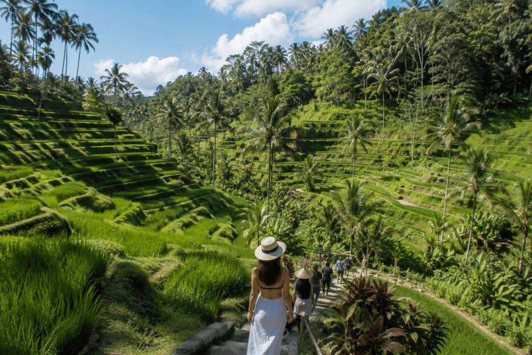 Ubud Rice Terrace