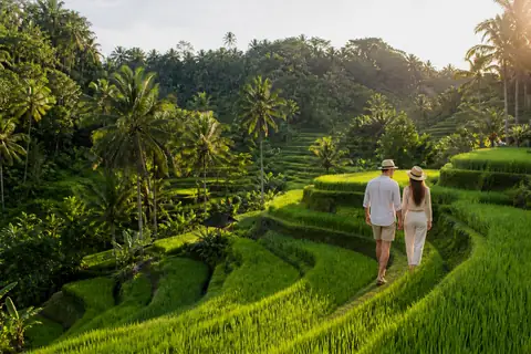tegallalang rice terrace